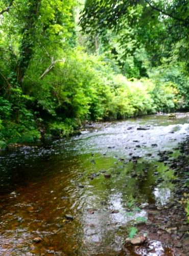 Bredagh River at Moville Boutique Hostel