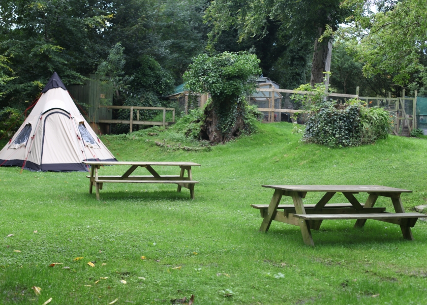 Camping at Moville Boutique Hostel