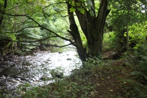 River Walk at Moville Boutique Hostel