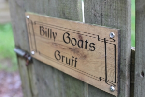 Visit the Goats at Moville Boutique Hostel